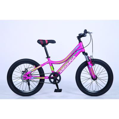 China Widely Used Steel Frame Factory Sale Steel Frame Diverse Frame Cycle Mountain Bikes for sale