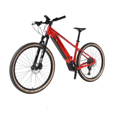 China Aluminum alloy safety tire design 12 speed cheap E-bike lithium battery electric bicycle non-slip for sale