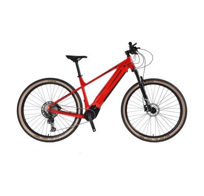 China Aluminum Alloy 12 Speed ​​Almtb Frame Electric Bike Prices Wholesale Electric Bike For Adults for sale