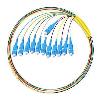 China HXCOWO 12 Core SC Bundle Tail Single Mode Telecom Grade Head And Tail Fiber Optic Pigtail for sale