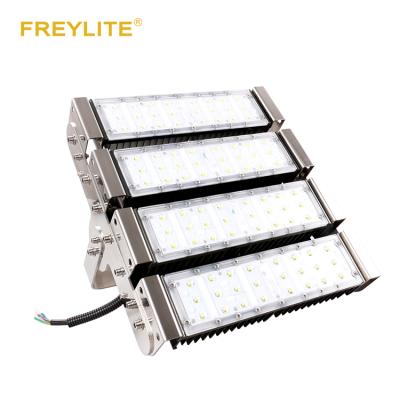 China IP66 modular design is adopted FREYLITE IP66 modular design is adopted outdoor waterproof 100w 150w 200w 250w 300w led floodlight for sale