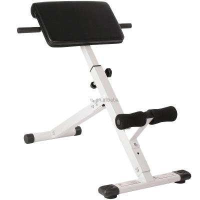 China Indoor Custom Back Extension Bench Hyperextension for sale