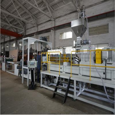 China Sheet Factory Sale Used Pet PP Plastic Sheet Making Making Machine for sale