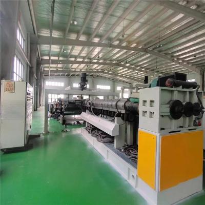 China Plastic Sheet Extruder Decoration Blister Wrapping Sheet Making Machine Pet Extrusion Line / Pet Film Machine for sale