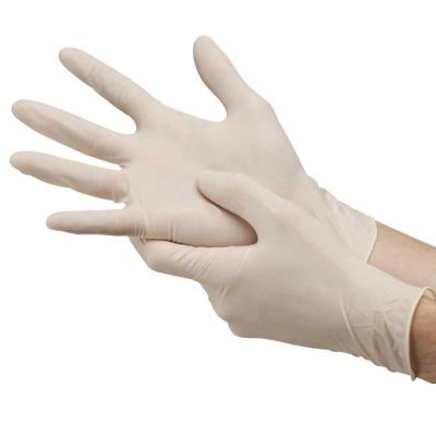 China Factory Direct Sale Latex Gloves for clinic use for sale