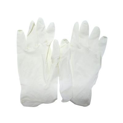 China popular latex powdered and powderfree gloves for sale