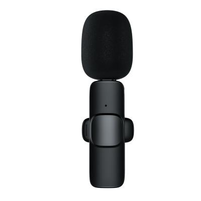 China 2021 New Mini Microphone Handheld Wireless Conference Lavalier Wireless Microphone for sale