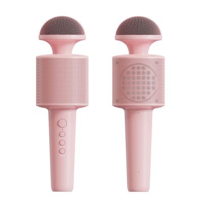 China Good Quality Handheld Microphone T14 Mini Microphone for Speech Home Singing Karaoke Kids Party High Fidelity Acoustic Multiple Sound Effect Built-in Speaker for sale