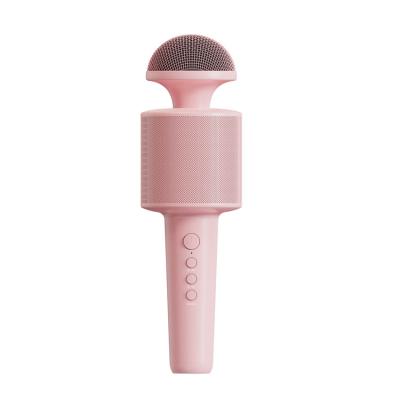 China Wholesale T14 Mini Kids Microphone Handheld Microphone With Speaker Inside Wireless Bluetooth Karaoke Microphone For Kids Karaoke Singing Speech for sale