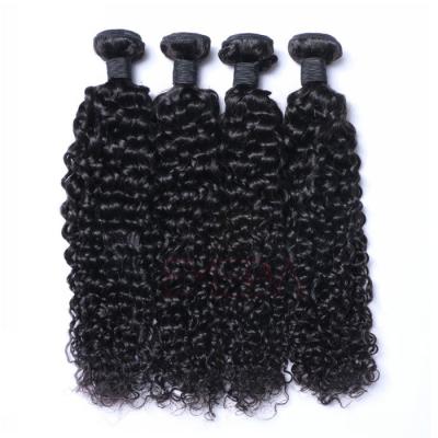 China Price List Natural Brazilian Curly Hair Weave Hair Weave Bundles 100% Yes --HW for sale