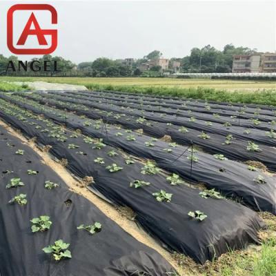 China Waterproof Non Woven Fabric Plant Covers Weed Mat Anti Weed Fabric, Plant Cover For Flower Bed Plant Pot Cover For Agriculture for sale