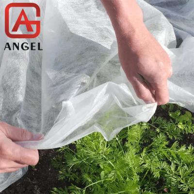 China China Landscape Waterproof Fabric In Garden Agricultural Ground Cover for sale