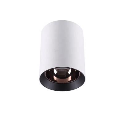 China Modern Aluminum Cylinder Led Ceiling Downlight COB 25w Surface Mounted Downlight 230v for sale