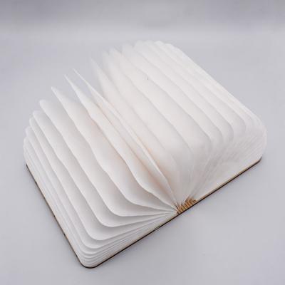 China Lighting Warm Wooden Whitetable LED Book Light Lamp for Room Decor or Christmas Gift for sale