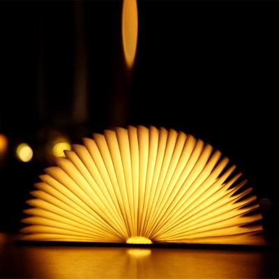 China Portable Ignition Relight Rechargeable Led Variable Foldable Lamp Book Light for sale