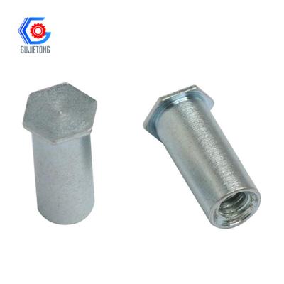 China Spring steel /closed end blind rivet hex nut for sale