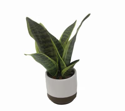 China High Quality Sansevieria 12.6 Inch Artificial Evergreen Sansevieria Snake Plant Bonsai With Ceramic Pot For Home And Office Decor, Green Color for sale