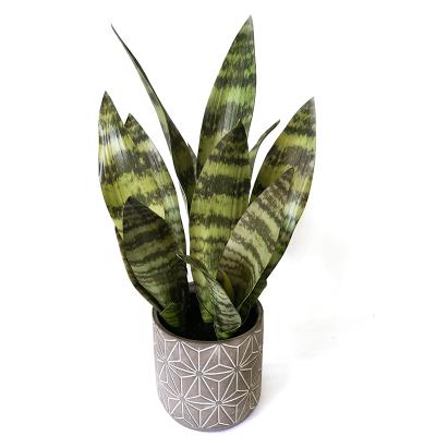 China High quality Sansevieria indoor decoration wholesale and home artificial tree for bonsai sansevieria simulated for sale