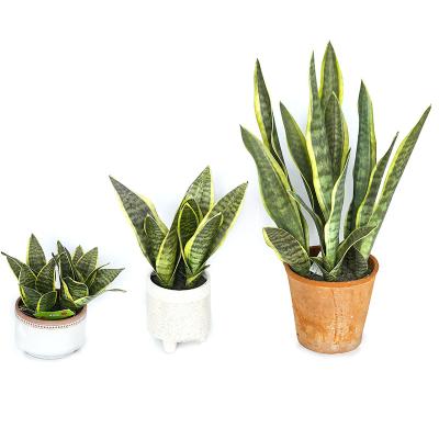 China Sansevieria cheap bonsai bonsai high quality artificial outdoor snake tree desktop green simulated plant for deco for sale