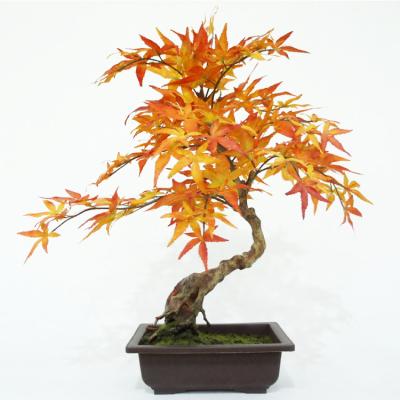 China Factory Direct Wholesale Artificial Fake Maple Tree Garden Decoration Fake Maple Tree Bonsai for sale