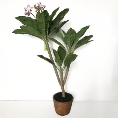 China Wholesale 36 100cm Tall Eco-friendly Leaves Artificial Fake Plumeria Bonsai Plant For Indoor And Outdoor Decor for sale