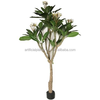 China Wholesale Good Quality Eco - Friendly 99 200cm Tall Environmental Leaves Potted Flower Plumeria Bonsai Trees for sale