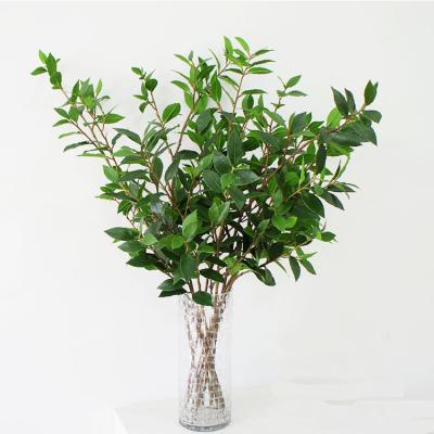 China Direct Wholesale Artificial Fake Laurel Leaves Indoor Plant Laurel Leaves Garden Decoration for sale