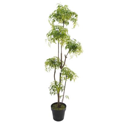 China Factory Direct Wholesale High Imitation Artistic Beautiful Real Fern Plants Perpetual Artificial Bonsai Seeming for Decoration for sale