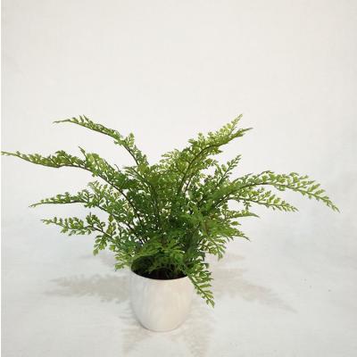 China Factory Direct Wholesale Artificial Fern Artistic Home Office Decorative Wedding Fern Plant To Fake Pot for sale