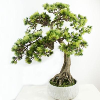 China Artistic Fake Podocarpus Tree Bonsai Landscaping Pine For Indoor And Outdoor for sale