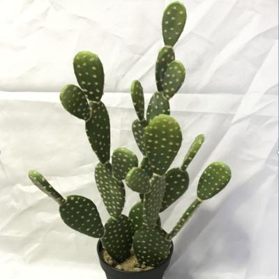 China Environmentally Friendly Indoor&Outdoor Large Artificial Cactus High Simulation Decorative Artificial Cactis Potted for sale