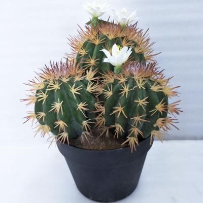 China YCX17883 Eco - Friendly And High Simulation Artificial Cactus Plants With White Flower , Potted Fake Cactus Ball Plants For Decoration for sale