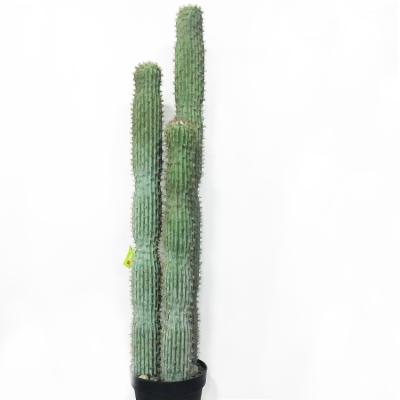 China Real fake cactus wholesale popular artificial plant indoor decorative cactus for sale