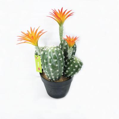 China Realistic Cactus Flower Plant Real Pretend Artificial Cactus Plant for sale