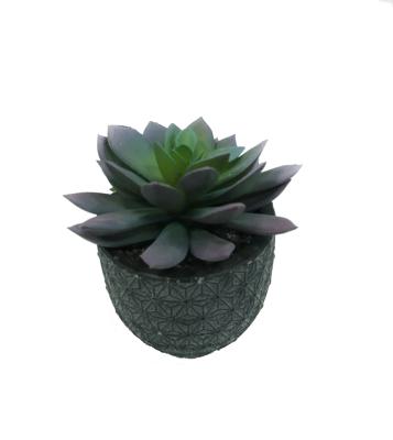 China Decorative Faux Cacti High Simulation Assorted Succulent Plants With Black Pots Artificial Succulent for sale