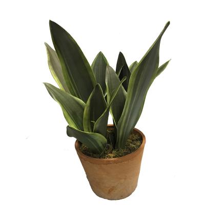 China Eco-friendly Delray Plants Snake Plant Sansevieria Artificial Succulent Plants With Red Brick Pot for sale