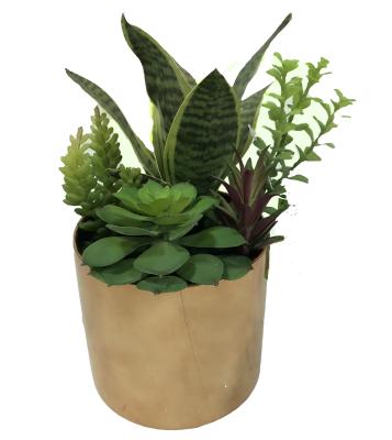 China Nearly Natural Artificial Mixed Mini Succulent Plants Eco - Friendly In Gold Finish Ceramic Pot , Home And Office Decor for sale