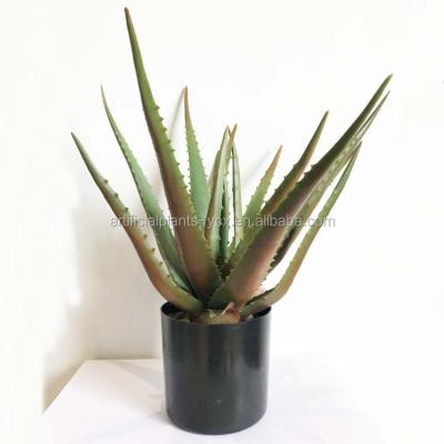 China Plant Wholesale Black Round Pot Eco-friendly Succulent And Artificial Aloe Plants Aloe For Furniture Decoration for sale