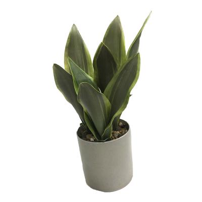 China Zeylanica Eco-Friendly Snake Plant, Mother-in-Law's Tongue - Sanseveria Artificial Snake Plants with Gray Pots for sale