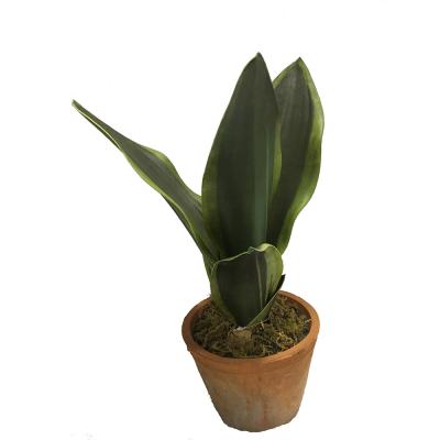 China Decorative Red Brick Potted Furniture Eco - Friendly Sanseveria Plants Artificial Snake Plants for sale