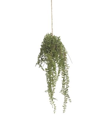 China Artistic Artificial Plants Hanging Decor Plastic For Wall Garland Indoor Decor for sale