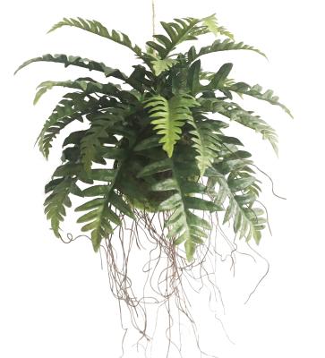 China Fern Hanging Plants Artificial Almost Natural Artistic, Green for sale