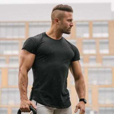 China Custom Gym T-shirt Workout Anti-wrinkle Muscle Clothing Quality Cotton Spandex Curve Edge Men's T-shirts for sale