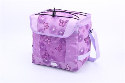 China Hot sale best insulated cooler bag which can keep warm and cool for sale