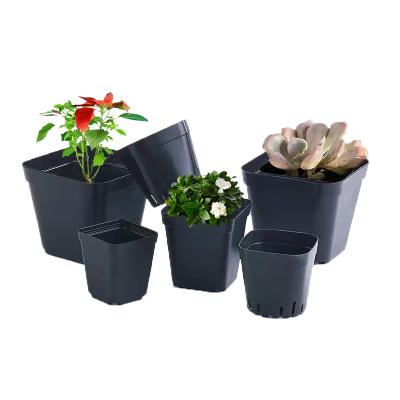 China Modern Hot Selling Plastic Black Square Plant Flower Nursery Pot for sale