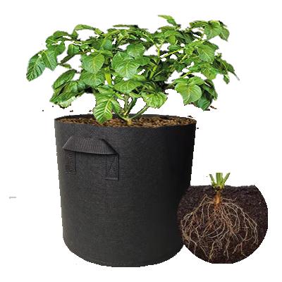 China Best Quality Durable 5 Pack 1/2/3 Gallon Felt Fabric Plant Grow Bags In USA Non Woven Grow Bag For Indoor Garden for sale