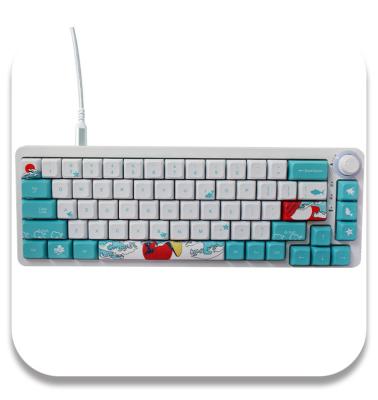 China New China Factory Price Anti-ghosting Suppliers Laptop Keyboard Mechanical Keyboard Gaming 68 Keys for sale