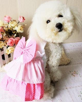 China 2012 cute pink dog skirt dog clothes for sale