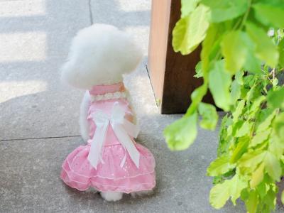 China Nice-looking pink wedding dress for dog cheap dog clothes for sale