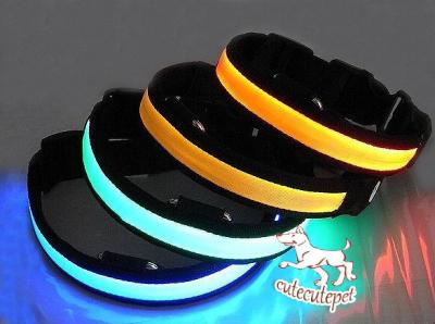 China Fashionable LED dog collar with big discount for sale